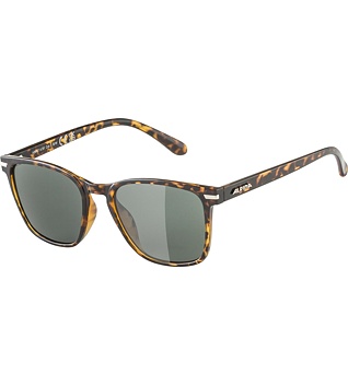 Sunglasses Alpina YEFE