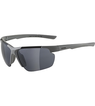 Sunglasses Alpina DEFEY HR