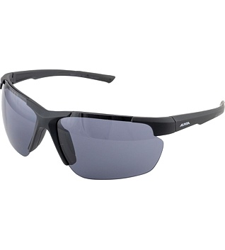 Sunglasses Alpina DEFEY HR