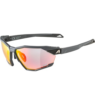 Sunglasses Alpina Twist Six QV