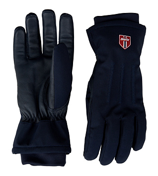 Glove Swix Blizzard glove