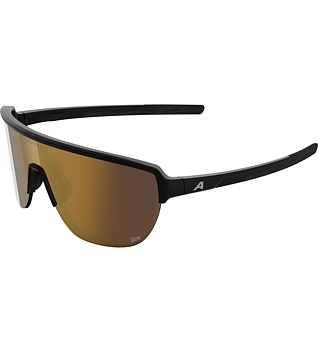 Sunglasses Alpina Ram 2.0 Q-Lite