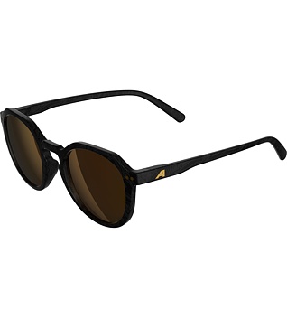 Sunglasses Alpina Sneek 2.0
