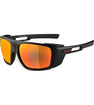 Sunglasses Alpina SKYWALSH