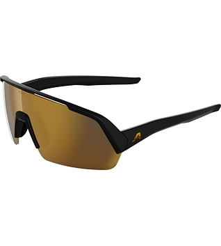 Sunglasses Alpina TURBO HR