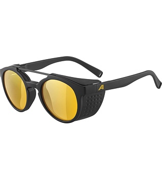 Sunglasses Alpina GLACE POL