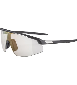 Sunglasses Alpina TURBO PRO V