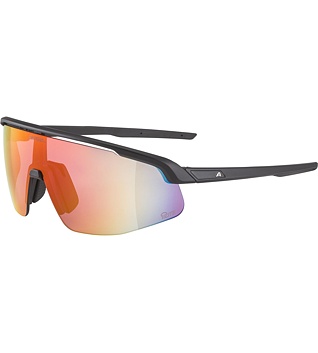 Sunglasses Alpina Turbo Pro Q-Lite