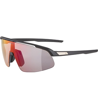 Sunglasses Alpina TURBO PRO S QV