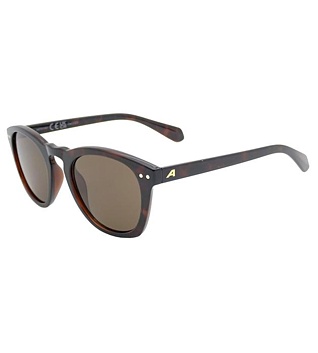 Sunglasses Alpina SUNBEAM