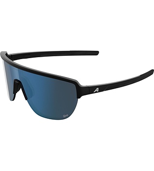 Sunglasses Alpina Ram 2.0 Q-Lite