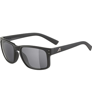 Sunglasses Alpina KOSMIC