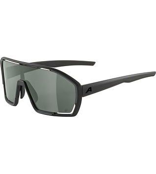 Sunglasses Alpina Bonfire Q-Lite