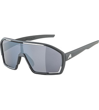 Sunglasses Alpina BONFIRE