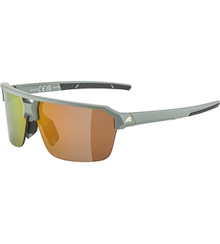 Sunglasses Alpina SWIFT HR