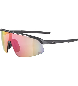 Sunglasses Alpina Turbo Pro S Q-Lite