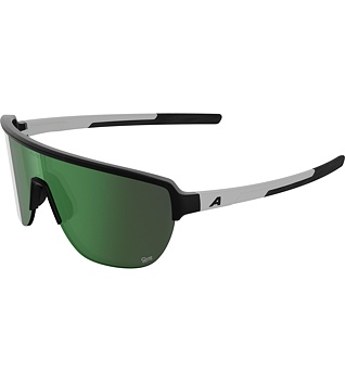 Sunglasses Alpina Ram 2.0 Q-Lite