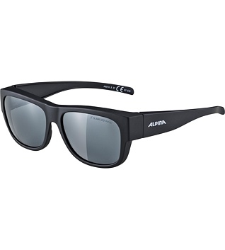 Sunglasses Alpina OVERVIEW II P