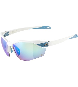 Sunglasses Alpina TWIST SIX S HR Q