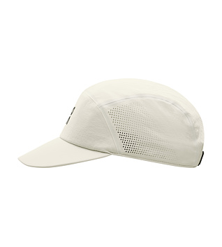 Cap On Performance Cap