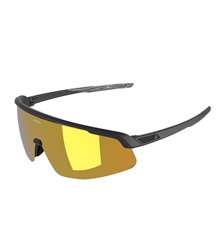 Sunglasses Alpina TURBO PRO Q