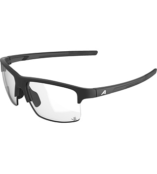 Sunglasses Alpina EAGLE V