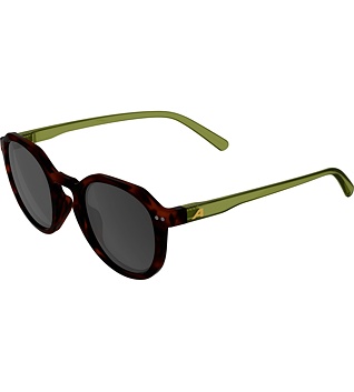 Sunglasses Alpina Sneek 2.0