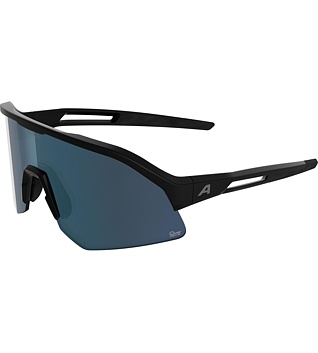 Sunglasses Alpina Sonic HR M Q-Lite