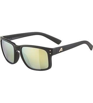 Sunglasses Alpina KOSMIC