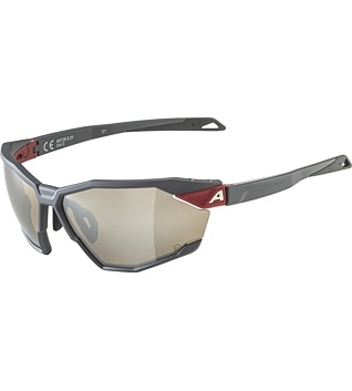 Sunglasses Alpina TWIST SIX Q