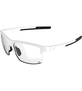 Sunglasses Alpina EAGLE V