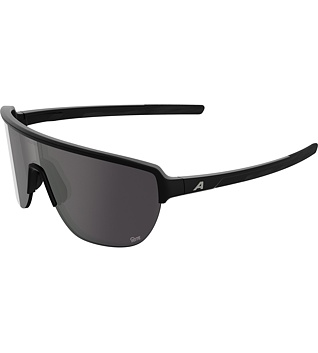 Sunglasses Alpina Ram 2.0 Q-Lite