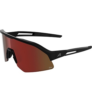 Sunglasses Alpina Sonic HR M Q-Lite