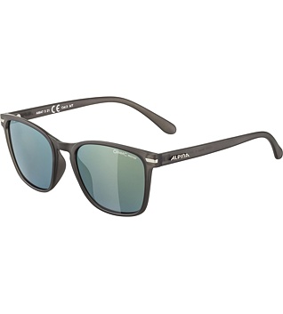 Sunglasses Alpina YEFE