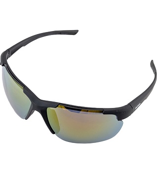 Sunglasses Alpina DEFEY HR