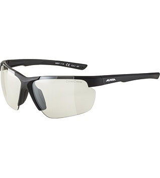 Sunglasses Alpina DEFEY HR
