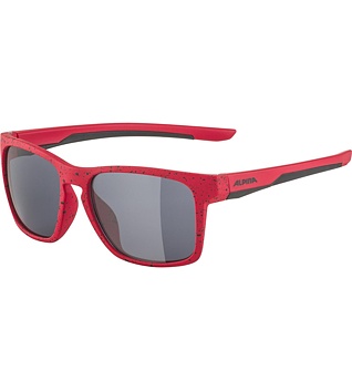 Sunglasses Alpina FLEXXY COOL KIDS I