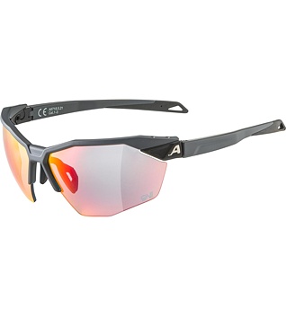 Sunglasses Alpina TWIST SIX HR QV