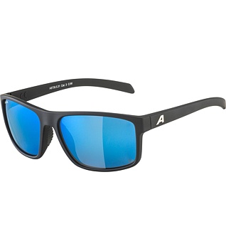 Sunglasses Alpina Nacan I Pol