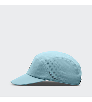 Cap On Performance Cap