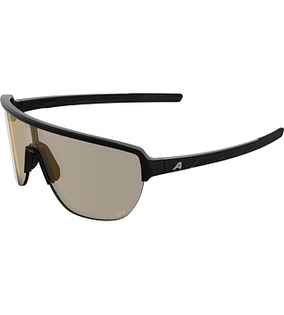 Sunglasses Alpina Ram 2.0 Q-Lite