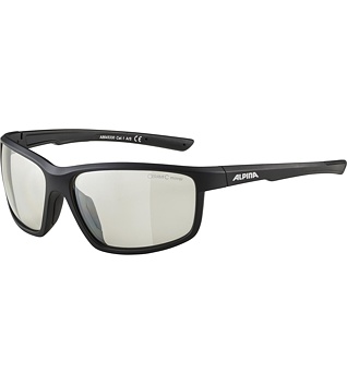 Sunglasses Alpina DEFEY
