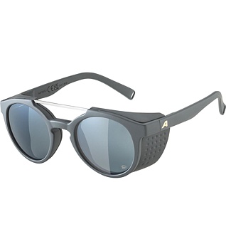 Sunglasses Alpina GLACE POL