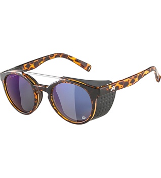 Sunglasses Alpina GLACE POL