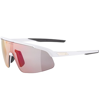 Sunglasses Alpina TURBO PRO S QV