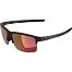Sunglasses Alpina Eagle Q-Lite