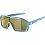 Sunglasses Alpina Bonfire Q-Lite
