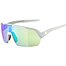 Sunglasses Alpina TURBO HR