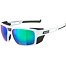 Sunglasses Alpina SKYWALSH Q
