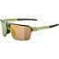 Sunglasses Alpina SWIFT HR